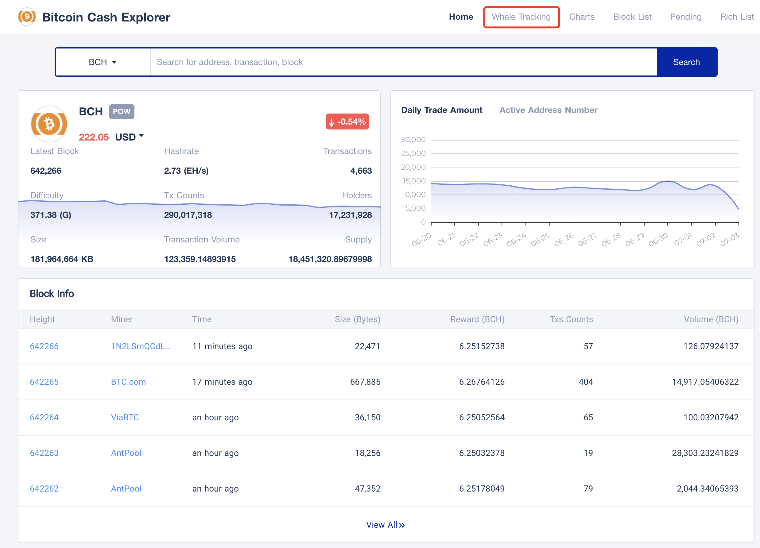 tokenview block explorer to track bch large transaction